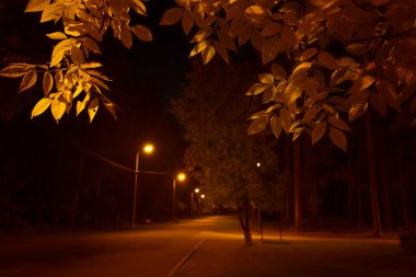 Sonbaharda güzel bir şehir manzarası olacak. Riga, Letonya.