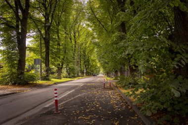 Güzel bir sonbahar manzarası. Sokakları ve ağaçları yapraklarla kaplı. Riga, Letonya 'da güneşli bir gün.