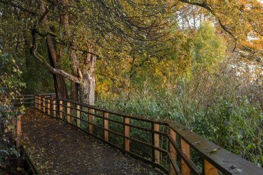 Ahşap yolu olan güzel bir parkın altın sonbahar manzarası. Riga, Letonya 'da Mevsimler.