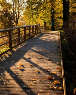 Ahşap yolu olan güzel bir parkın altın sonbahar manzarası. Riga, Letonya 'da Mevsimler.