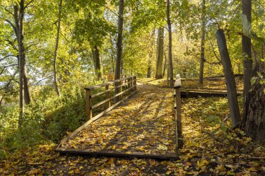 Ahşap yolu olan güzel bir parkın altın sonbahar manzarası. Riga, Letonya 'da Mevsimler.