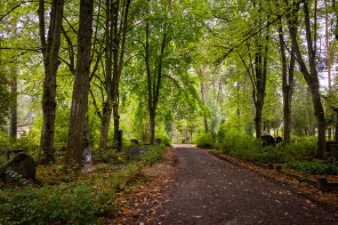 Bir mezarlığın içinden geçen sakin bir sonbahar manzarası. Riga, Letonya 'nın sonbahar manzarası.