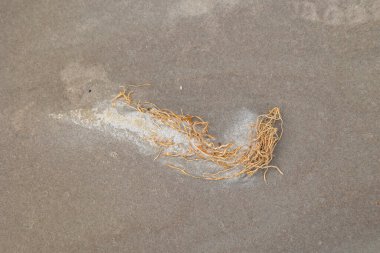 Baltık Denizi sahilinde güzel kum desenleri. Letonya kıyı şeridinin güneşli manzarası.