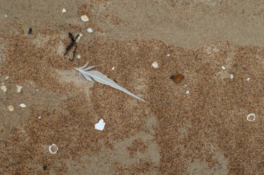 Baltık Denizi sahilinde güzel kum desenleri. Letonya kıyı şeridinin güneşli manzarası.