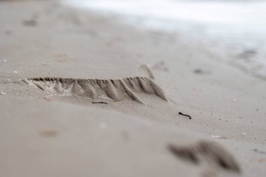 Baltık Denizi sahilinde akan su tarafından yapılan güzel süs kumu desenleri. Letonya 'da güneşli bir yaz günü.