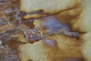 Bataklık sahilinde sızan doğal yağlı bir maddenin renkli desenleri. Baltık Denizi kıyısında güneşli bir gün, Latva.