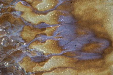 Bataklık sahilinde sızan doğal yağlı bir maddenin renkli desenleri. Baltık Denizi kıyısında güneşli bir gün, Latva.