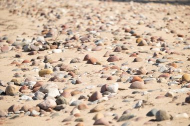 Baltık Denizi sahilinde güzel, kuru, pürüzsüz çakıl taşları. Letonya 'da güneşli bir yaz günü.
