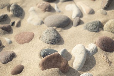 Baltık Denizi sahilinde güzel, kuru, pürüzsüz çakıl taşları. Letonya 'da güneşli bir yaz günü.