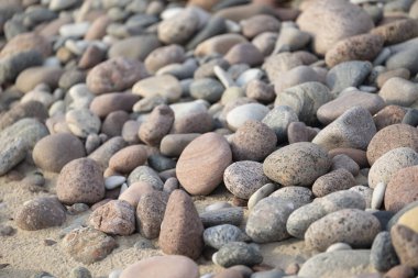 Baltık Denizi sahilinde güzel, kuru, pürüzsüz çakıl taşları. Letonya 'da güneşli bir yaz günü.