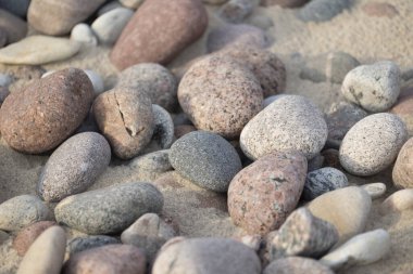 Baltık Denizi sahilinde güzel, kuru, pürüzsüz çakıl taşları. Letonya 'da güneşli bir yaz günü.