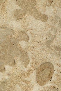 Baltık Denizi sahilinde güzel kum desenleri. Latva 'da güneşli bir yaz akşamı.