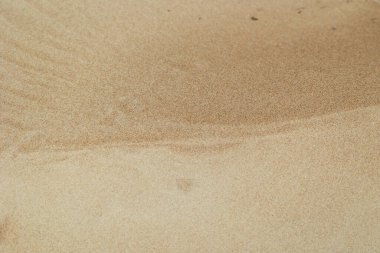 Baltık Denizi sahilinde güzel kum desenleri. Latva 'da güneşli bir yaz akşamı.