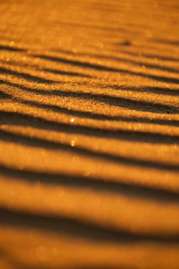 Baltık Denizi sahilinde güzel kum desenleri. Latva 'da güneşli bir yaz akşamı.