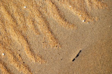 Baltık Denizi sahilinde güzel kum desenleri. Latva 'da güneşli bir yaz akşamı.