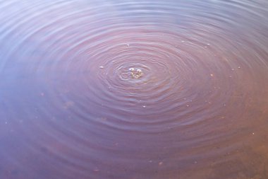 Baltık Denizi sahilinde güzel su ve kum desenleri var. Letonya 'da güneşli bir yaz günü.