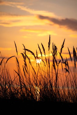 Denizin üzerinde gün batımı