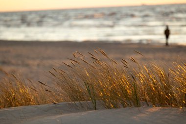 Güzel bir yaz günbatımı manzarası. Sahilde yürüyen siluetler, Baltık Denizi 'nin kostüm çizgisinin keyfini çıkarıyorlar. Letonya, Avrupa 'nın akşam manzarası.