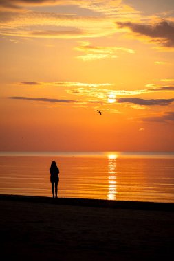 Güzel bir yaz günbatımı manzarası. Sahilde yürüyen siluetler, Baltık Denizi 'nin kostüm çizgisinin keyfini çıkarıyorlar. Letonya, Avrupa 'nın akşam manzarası.