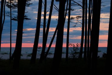 Baltık Denizi sahilinde güneş doğmadan önce sabah manzarası. Letonya, Avrupa 'da yaz sabahı.
