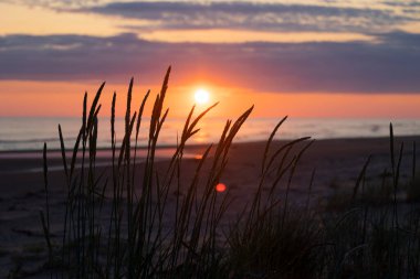 Baltık Denizi 'nin üzerinde pembe bir gün doğumu. Sahilde yaz sabahı. Letonya, Avrupa.
