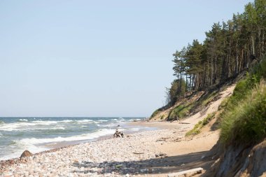 Kum tepelerinde büyüyen orman ile güzel bir Baltis Denizi kıyısı manzarası. Letonya, Avrupa 'da güneşli bir yaz günü.