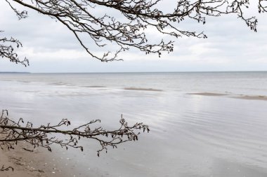 Letonya 'daki Baltık Denizi kıyılarının karakteristik detayları. Denizde bulutlu bir gün.