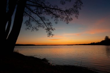 Ağaç siluetleriyle gölün üzerinde neşeli, renkli bir bahar sabahı. Letonya, Avrupa 'nın mevsimsel manzarası.