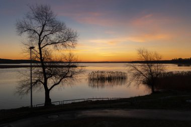 Ağaç siluetleriyle gölün üzerinde neşeli, renkli bir bahar sabahı. Letonya, Avrupa 'nın mevsimsel manzarası.