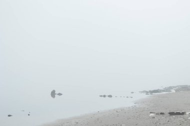 Güzel bir roclu gölü kıyısı, sisli. Letonya, Avrupa 'nın erken bahar manzarası.