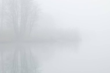 Sakin bir göl yüzeyine yansıyan çıplak ağaçlarla güzel sisli bir manzara. Letonya, Avrupa 'da ilkbahar manzarası.