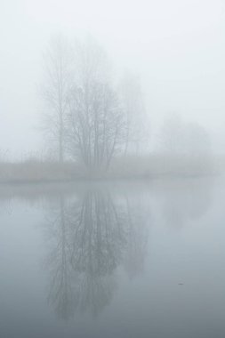 Sakin bir göl yüzeyine yansıyan çıplak ağaçlarla güzel sisli bir manzara. Letonya, Avrupa 'da ilkbahar manzarası.