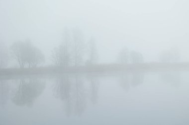 Sakin bir göl yüzeyine yansıyan çıplak ağaçlarla güzel sisli bir manzara. Letonya, Avrupa 'da ilkbahar manzarası.