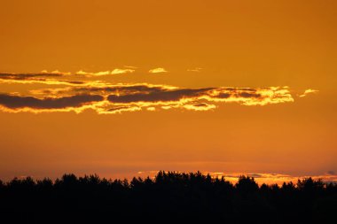 Yaz gündoğumu sırasında gölde güzel bir sabah manzarası. Letonya, Avrupa 'nın mevsimsel manzarası.