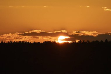 Yaz sabahı gölün üzerinde yükselen güzel altın bir güneş. Letonya, Avrupa 'nın renkli mevsimlik manzarası.
