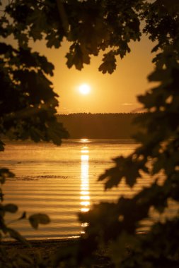 Yaz sabahı gölün üzerinde yükselen güzel altın bir güneş. Letonya, Avrupa 'nın renkli mevsimlik manzarası.