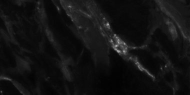 Arka plan için siyah mermer doğal desen, soyut doğal mermer siyah ve beyaz, siyah mermer taş. yüksek çözünürlüklü mermer