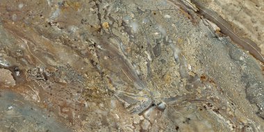 İç dekorasyon için yüksek çözünürlüklü mermer kaplamalı doğal İtalyan aydınlatma mermer dokusu, iç duvar kağıdı tasarımı, seramik granit duvar ve zemin döşeme yüzeyi arka planı. Bej mermer, bej akik.