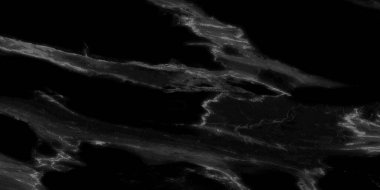 Siyah mermer, siyah mermer desen doğal taş desen soyut (yüksek çözünürlüklü), iç dekorasyon işi ve endüstriyel yapı tasarımı için mermer, siyah oniks mermer mermer, siyah mermer desen