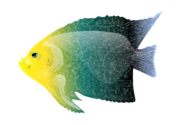 Tropické ryby na bílém — Stockový vektor