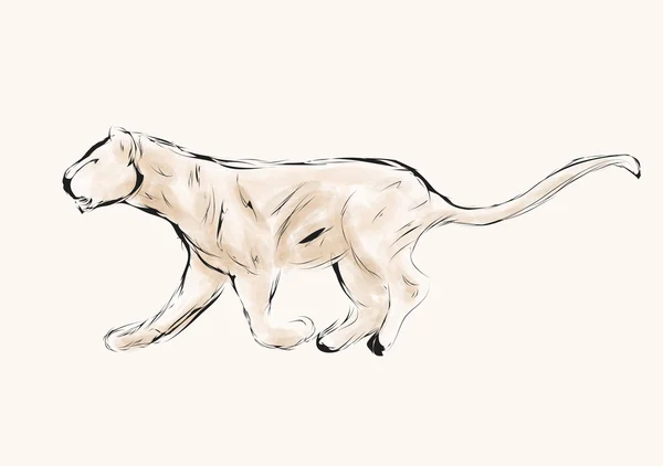 Chasse aux lionnes sauvages — Image vectorielle