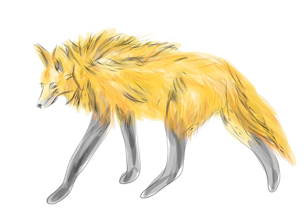 Loup maned sur blanc — Image vectorielle