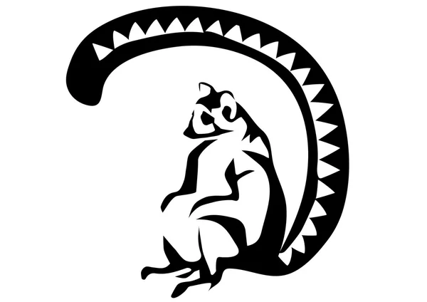 Anel cauda Lemur —  Vetores de Stock