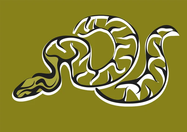 Královská python na zelené — Stockový vektor