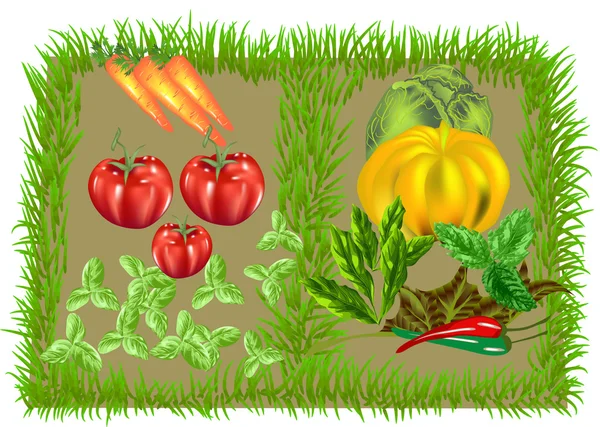 Sebze Gıda arka plan — Stok Vektör