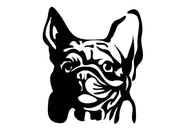 Bulldog Francese Isolato Sfondo Bianco — Vettoriale Stock