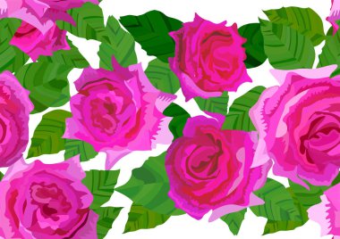 Zephirine Drouhin 'in çiçeksiz bir geçmişi vardı.