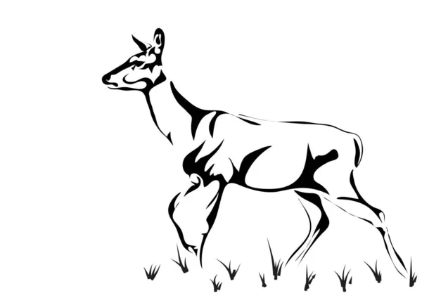 白を基調とした赤鹿女シルエット — ストックベクタ