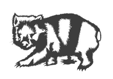 vombat silueti tüm arkaplanda izole edildi