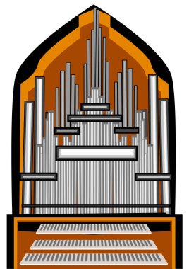 soyut organ beyaz arkaplanda izole edildi